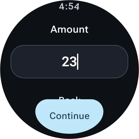 Wear OS screen with the amount field